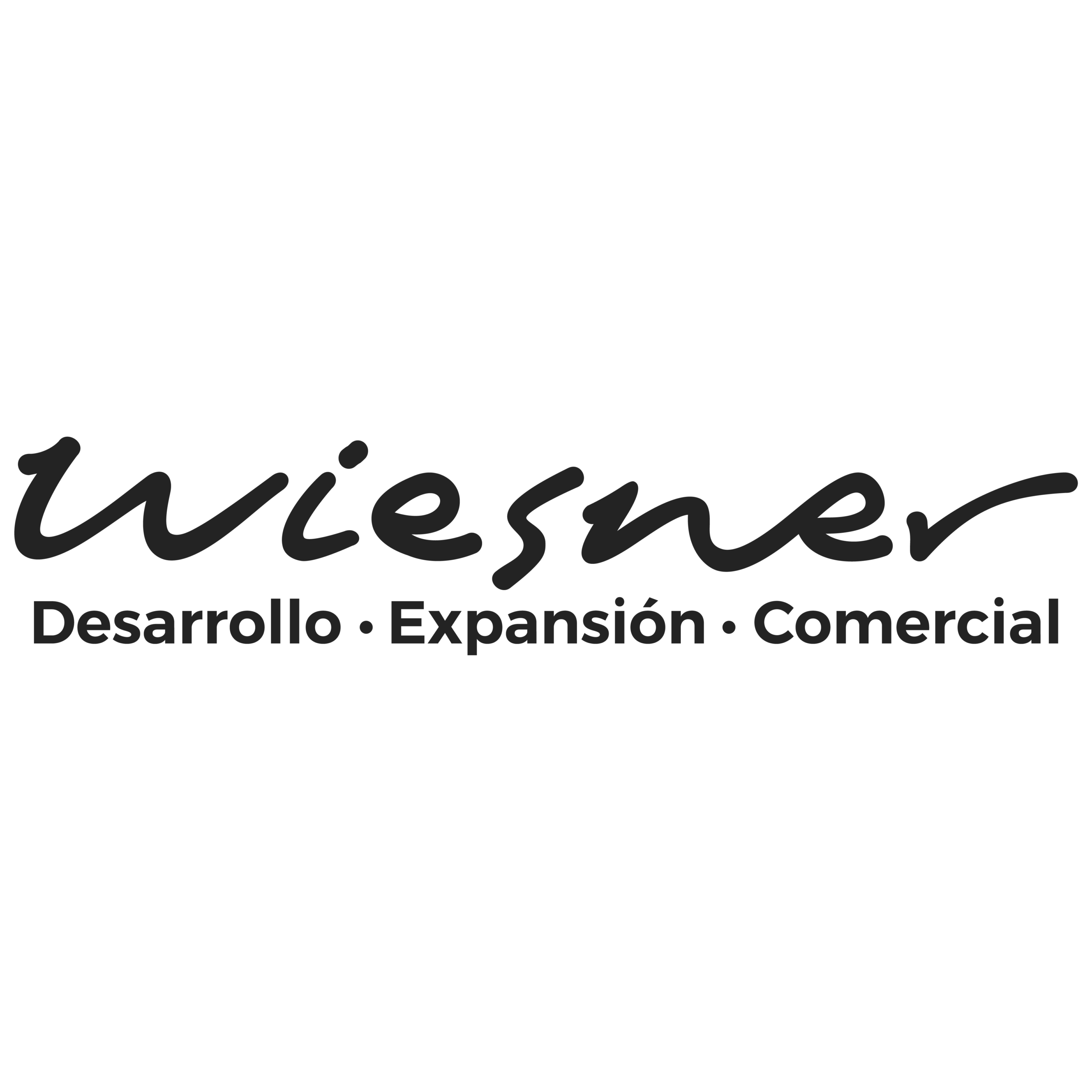 Wiesner Desarrollo Expansión Comercial